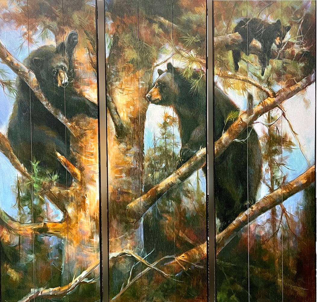 3 Bears Triptych Wall Decor by Marilynn Mason