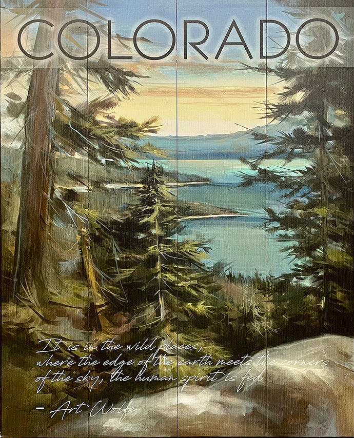 Colorado View of Lake Vertical Wall Decor by Marilynn Mason