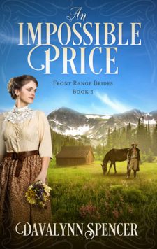 An Impossible Price Book by Davalynn Spencer - Book 3